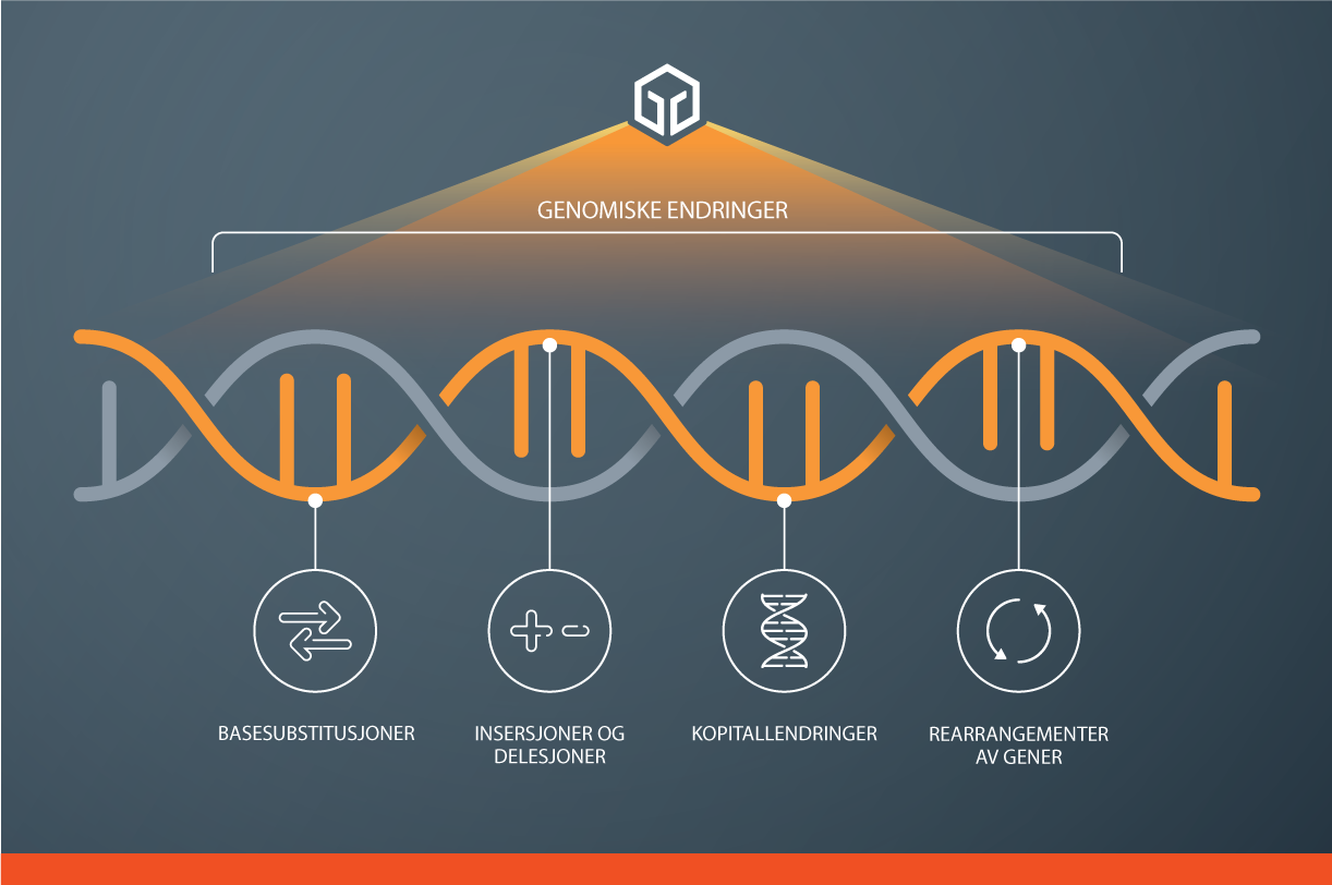 Our comprehensive genomic approach broadly analyses the tumour genome to identify clinically relevant alterations